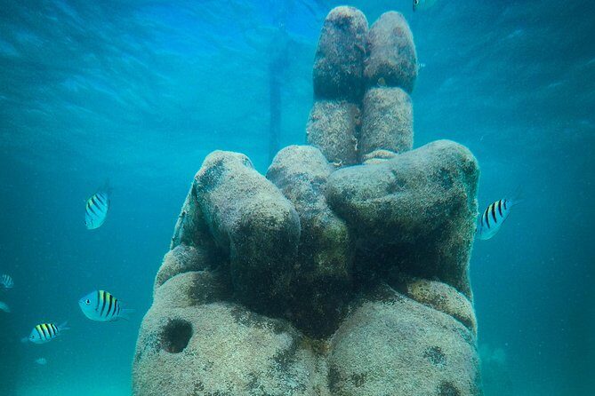 Cancun Adventure: Reef Snorkeling & Parasailing Experience - Key Points