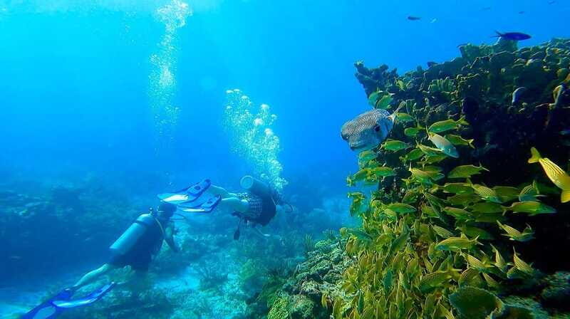 Cancun: All included Diving Lesson (2 Tanks) - FAQ