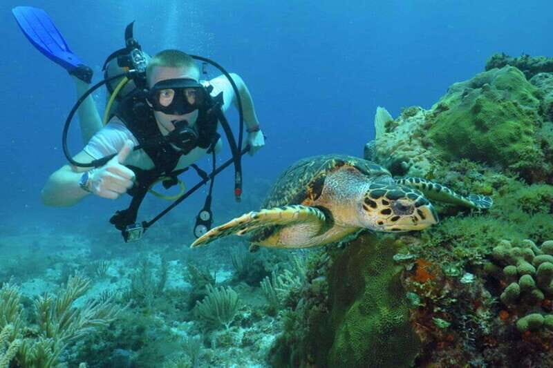 Cancun: Beginner Scuba Diving at Underwater Museum - Key Points