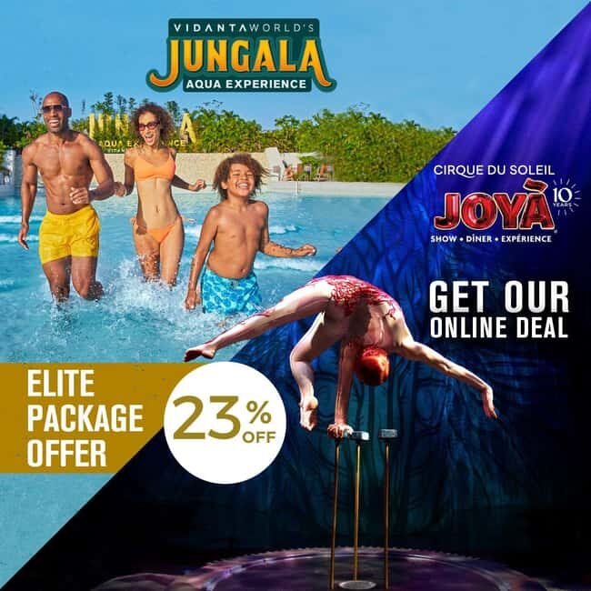 Cancún: Cirque du Soleil JOYÀ Show Ticket - An In-Depth Look at Cirque du Soleil JOYÀ in Riviera Maya