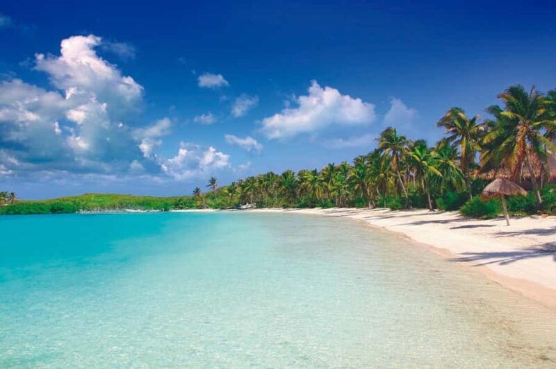 Cancun: Contoy Island & Isla Mujeres with snorkeling and lunch on the beach - Who Should Consider This Tour?