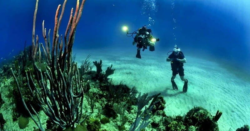 Cancún: Cozumel 2-Tank Diving Tour with Lunch & Transfers - A Detailed Look at the Cozumel 2-Tank Diving Tour from Cancun
