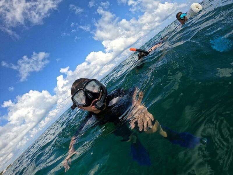 Cancún: Cozumel 2-Tank Diving Tour with Lunch & Transfers - Why This Tour Offers Good Value