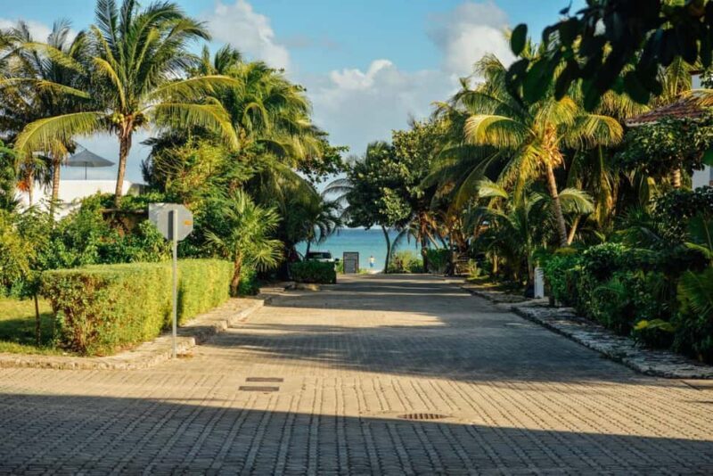 Cancun Cultural Odyssey: Private Tour Through Citys History - Final Thoughts