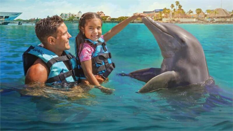 Cancun: Dolphin Connection & Garrafon Reef Park with Buffet - What to Expect During Your Day in Isla Mujeres