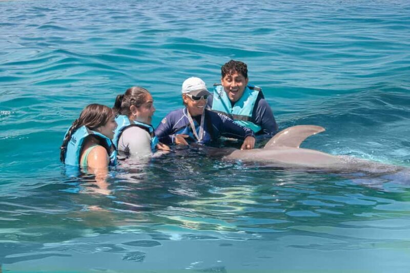 Cancun: Dolphin Connection & Garrafon Reef Park with Buffet - A Balanced View: Is It Worth It?