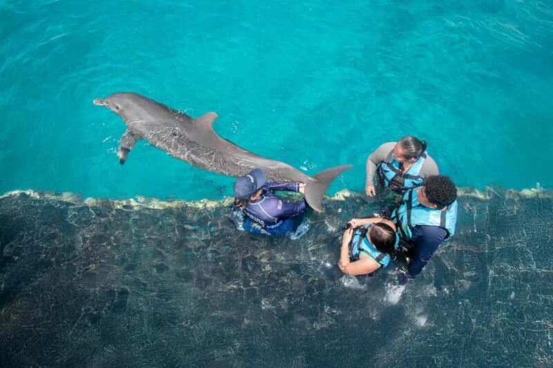 Cancun: Dolphin Connection & Garrafon Reef Park with Buffet - Frequently Asked Questions