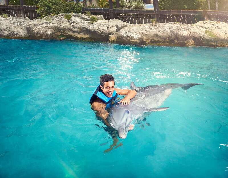 Cancún: Dolphin Encounter on Isla Mujeres with Buffet - A Deep Dive into the Experience