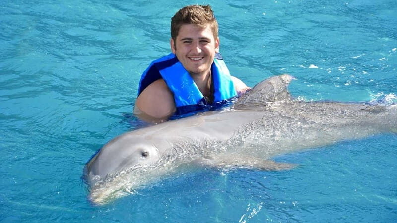 Cancún: Dolphin Encounter on Isla Mujeres with Buffet - The Itinerary Breakdown