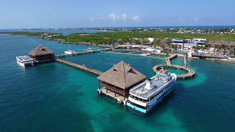 Cancún: Dolphin Encounter on Isla Mujeres with Buffet - Authenticity and Value