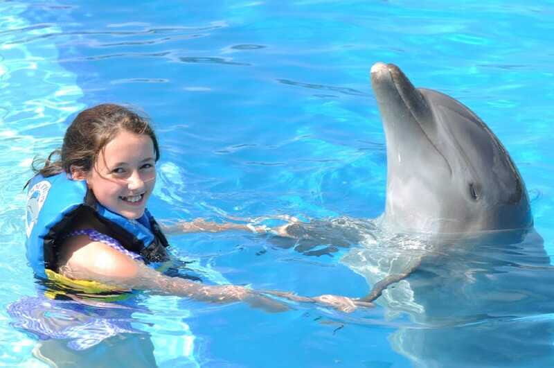 Cancún: Dolphin Encounter on Isla Mujeres with Buffet - Frequently Asked Questions