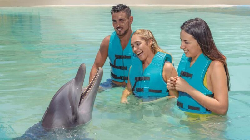 CANCUN: Dolphin Swim Adventure with buffet and soft drinks - Exploring the Dolphin Swim Experience