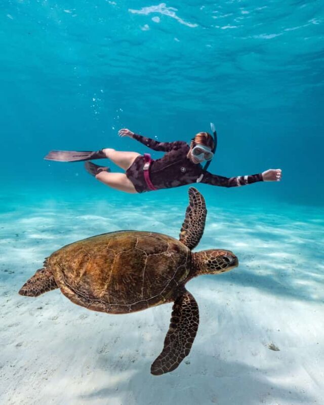 Cancun: Explore Tulum, swim with turtles, and visit a cenote - Exploring the Riviera Maya: Tulum, Turtles, and a Cenote in One Day