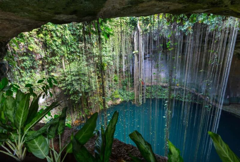 Cancun: Explore Tulum, swim with turtles, cenote, and snorkel in caves - Exploring Tulum, Turtles, Cenotes, and Caves: A Day in Quintana Roo