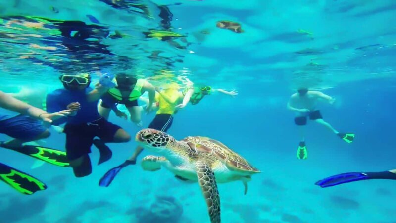 Cancun: Explore Tulum, swim with turtles, cenote, and snorkel in caves - FAQs