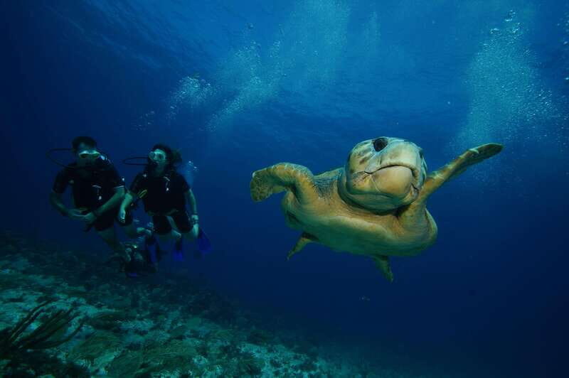 CANCUN: FIRST TIME DIVERS CANCUN - First Time Divers in Cancun: A Complete Guide to an Authentic Underwater Adventure