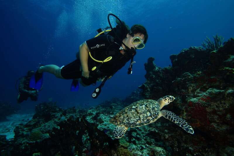 CANCUN: FIRST TIME DIVERS CANCUN - Key Points