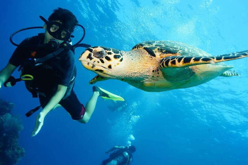 CANCUN: FIRST TIME DIVERS CANCUN - What’s Included and What to Budget for