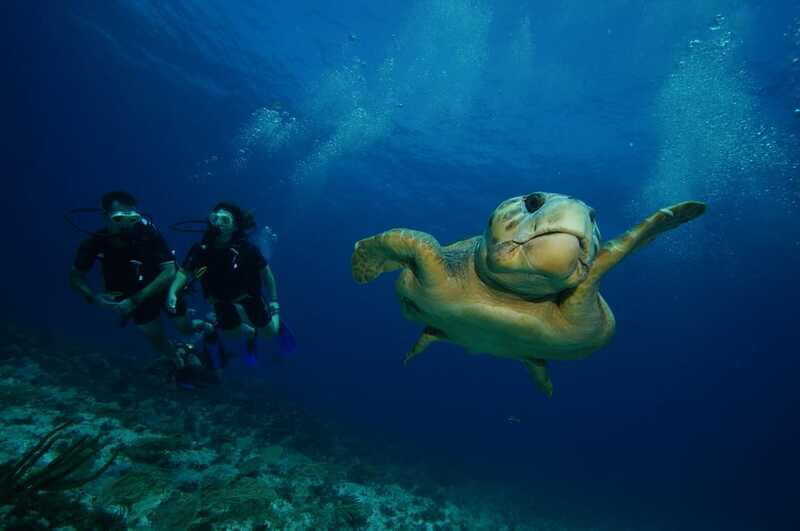 CANCUN: FIRST TIME DIVERS CANCUN - Who Will Love This Experience?