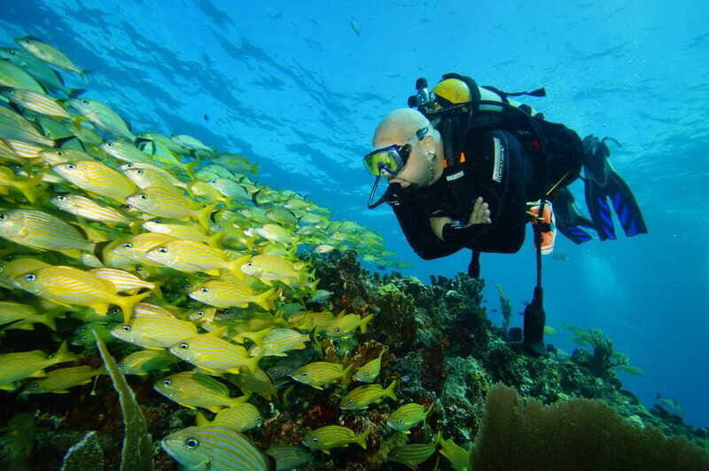 CANCUN: FIRST TIME DIVERS CANCUN - Final Words