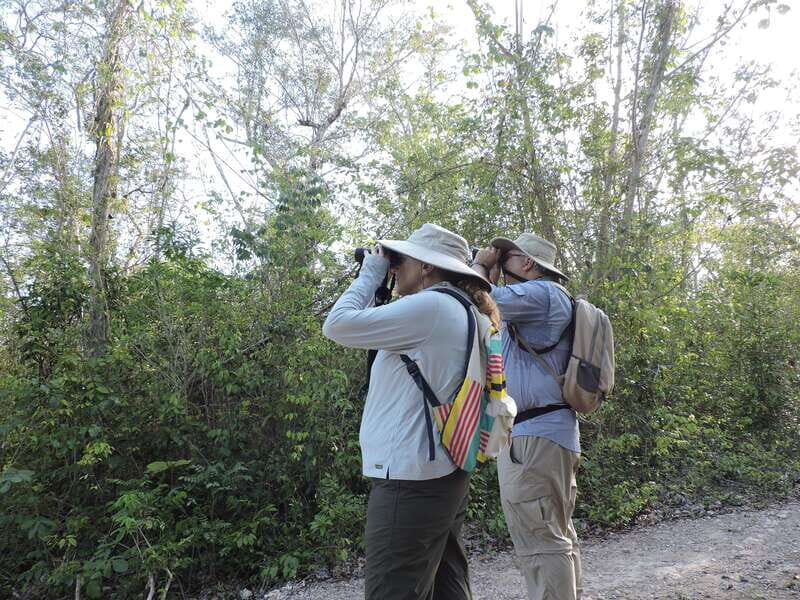 Cancún: Guided Birdwatching Hike - A Closer Look at the Guided Birdwatching Hike