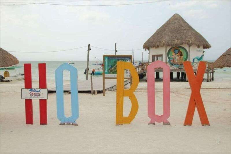Cancun: Holbox Island Birdwatching and Wildlife Adventure - Cancun: Holbox Island Birdwatching and Wildlife Adventure — A Deep Dive