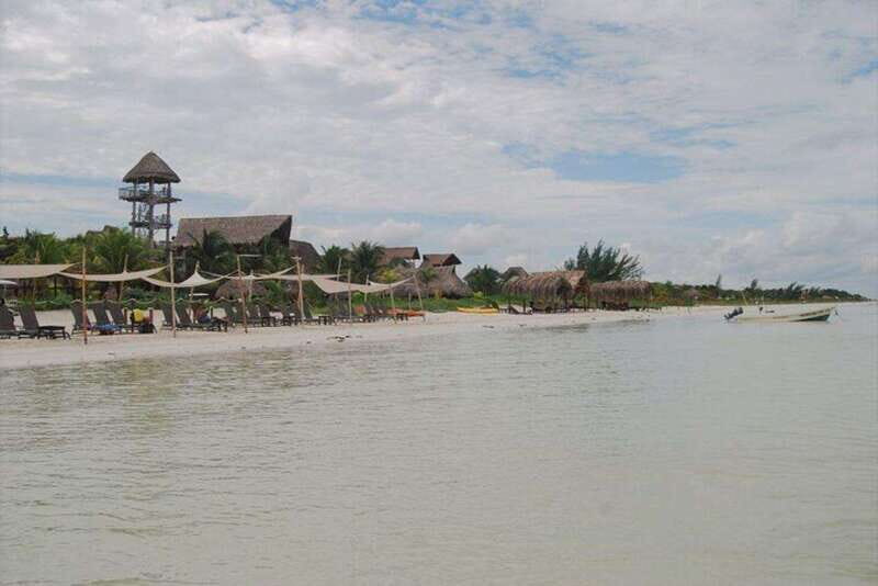 Cancun: Holbox Island Birdwatching and Wildlife Adventure - Key Points