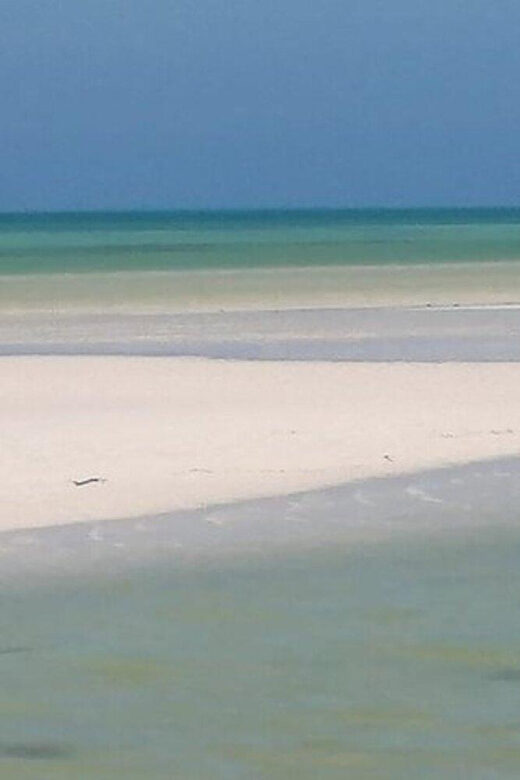 Cancun: Holbox plus Island, Punta Mosquito Trip with Lunch - Final Thoughts