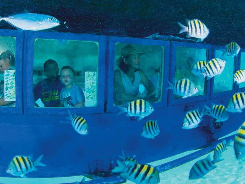 Cancún: Hop-on Hop-off Bus Tour with Submarine Trip - Authentic Experiences and What Travelers Say