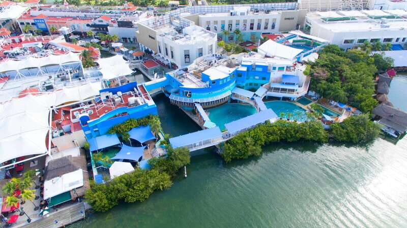 Cancún Interactive Aquarium Admission + Dolphin Presentation - Practical Tips for Your Visit
