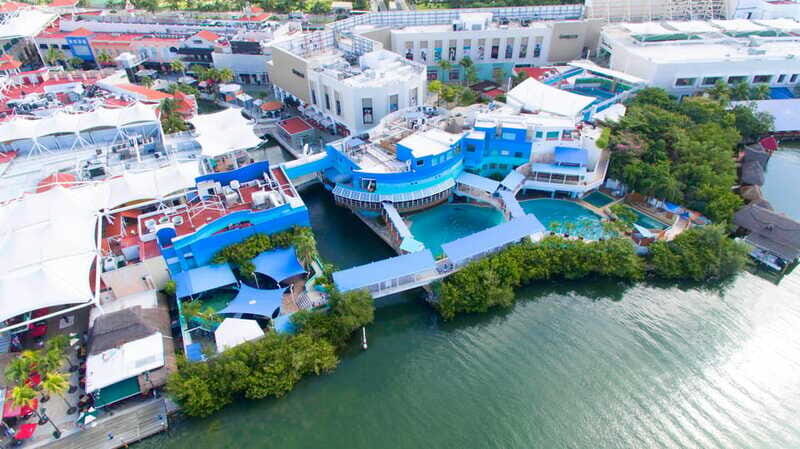 Cancún Interactive Aquarium Admission + Dolphin Presentation - The Sum Up
