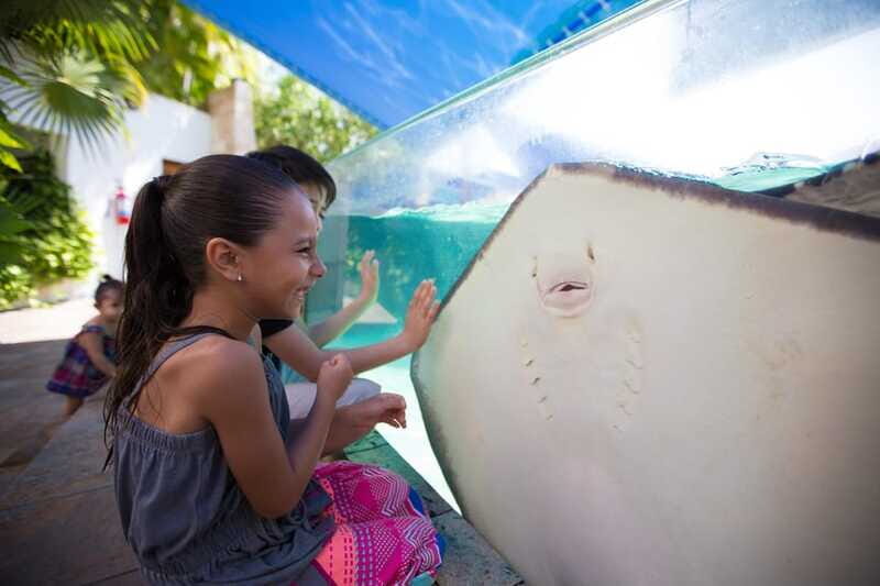 Cancún Interactive Aquarium Admission + Dolphin Presentation - Frequently Asked Questions