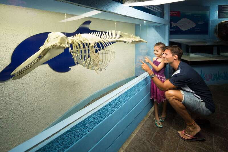 Cancún: Interactive Aquarium Admission - Exploring Cancún’s Interactive Aquarium: An Underwater Experience for Every Traveler