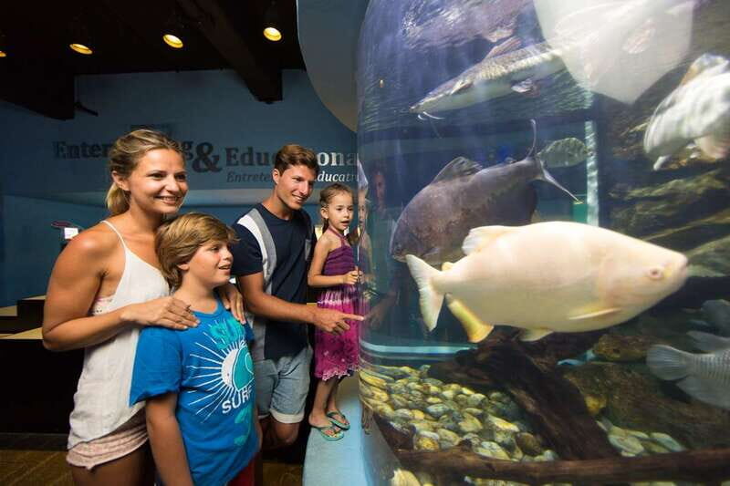 Cancún: Interactive Aquarium Admission - Breaking Down the Experience