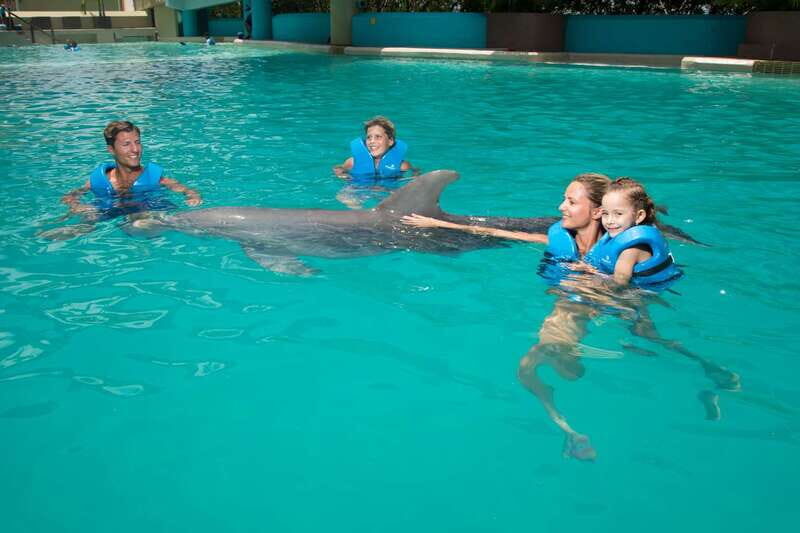 Cancun: Interactive Aquarium - Swim with dolphins Premium - An In-Depth Look at the Cancun Dolphin Experience