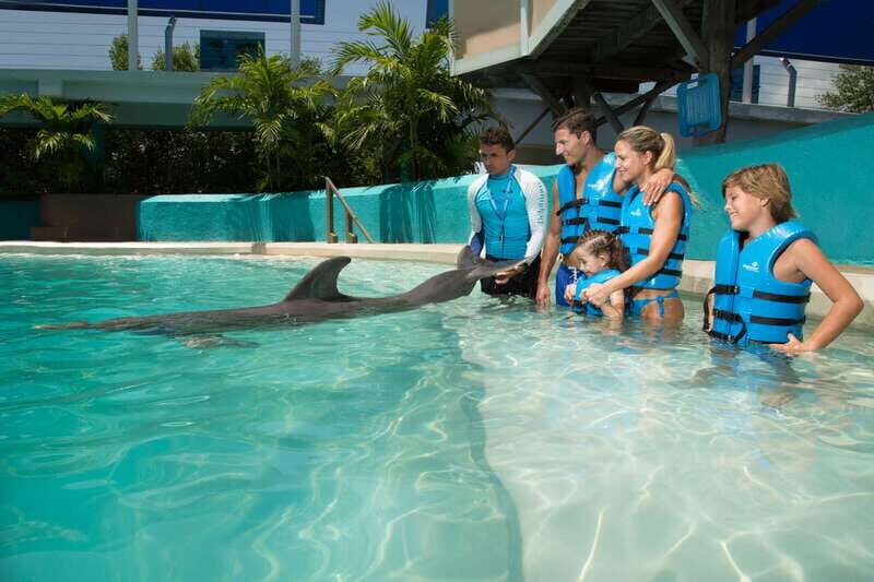 Cancun: Interactive Aquarium - Swim with Dolphins Splash - Key Points