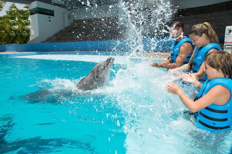 Cancun: Interactive Aquarium - Swim with Dolphins Splash - A Deep Dive into the Experience