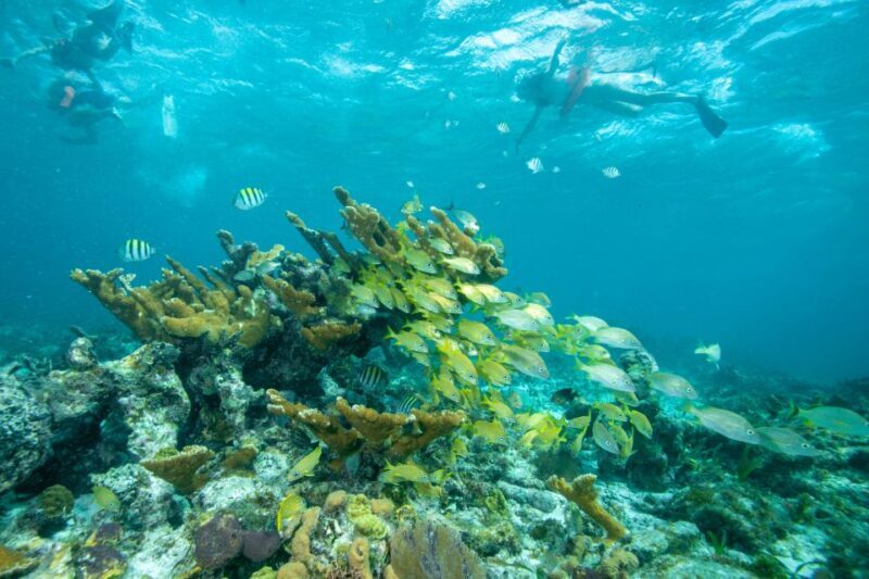 Cancún: Isla Mujeres All-Inclusive Private Catamaran Tour - FAQ