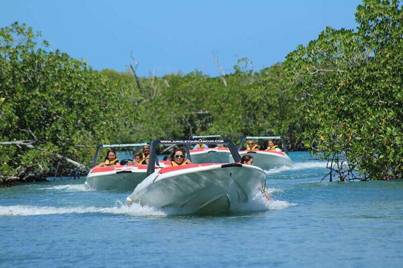 Cancun: Jungle Tour Adventure with Speedboat and Snorkeling. - An In-Depth Look at the Cancun Jungle Tour Adventure