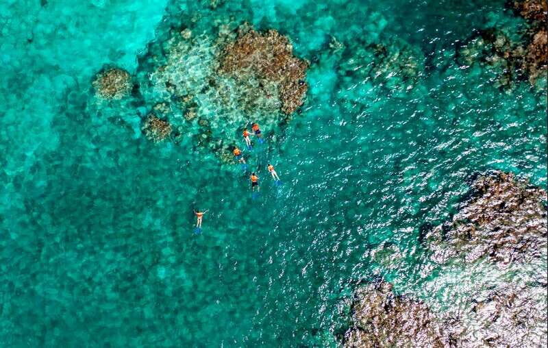Cancun: Jungle Tour Adventure with Speedboat and Snorkeling - A Detailed Look at the Cancun Jungle Tour Adventure