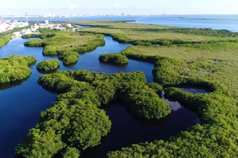 Cancun: Jungle Tour with Speedboat Ride and Snorkeling - Who Will Love This Tour?