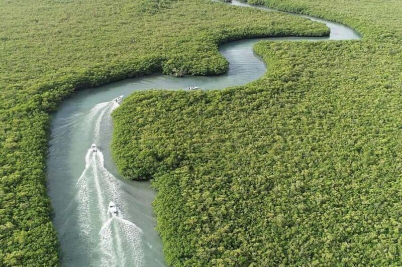 Cancun: Jungle Tour with Speedboat Ride and Snorkeling - The Sum Up