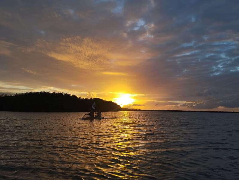 Cancun: Kayaking Tour in Nichupte Lagoon - An Introduction to the Experience