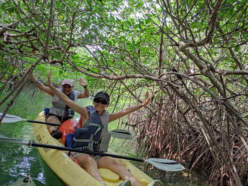 Cancun: Kayaking Tour in Nichupte Lagoon - The Itinerary and What to Expect