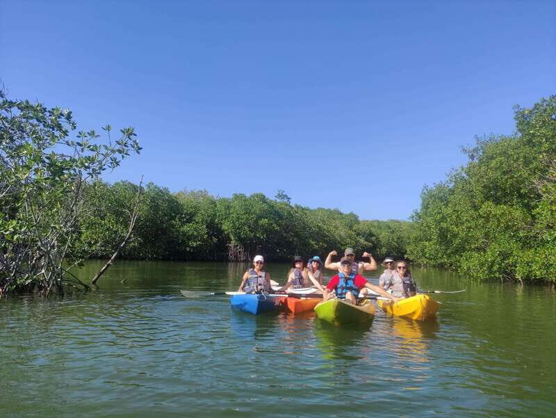 Cancun: Kayaking Tour in Nichupte Lagoon - Wildlife and Natural Highlights