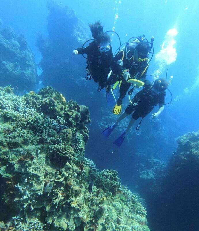 Cancun: Lionfish Expedition Package - Key Points