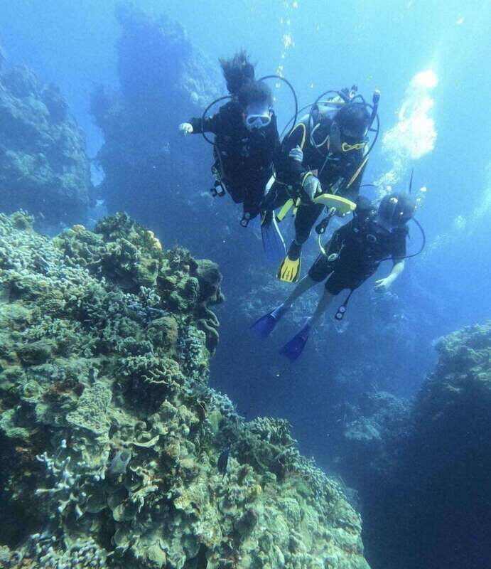 Cancun: Lionfish Expedition Package - The Itinerary in Depth