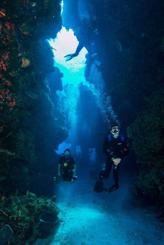 Cancun: Lionfish Expedition Package - Final Thoughts: Who Is This Tour Best For?