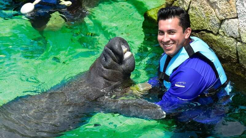 Cancún: Manatee Encounter on Isla Mujeres with Buffet Lunch - Authenticity and Value