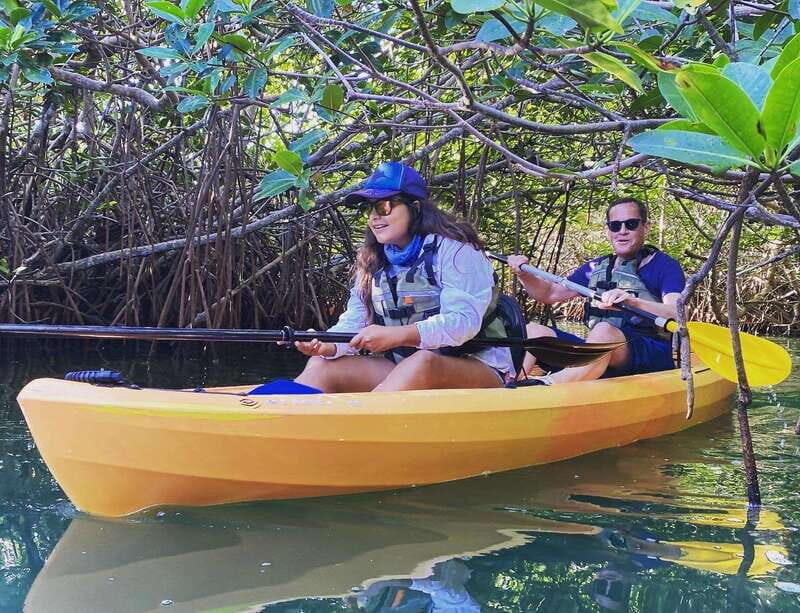 Cancún: Morning or Sunset Kayak Adventure in Nichupte Lagoon - An Up-Close Look at the Nichupéte Lagoon Kayak Tour